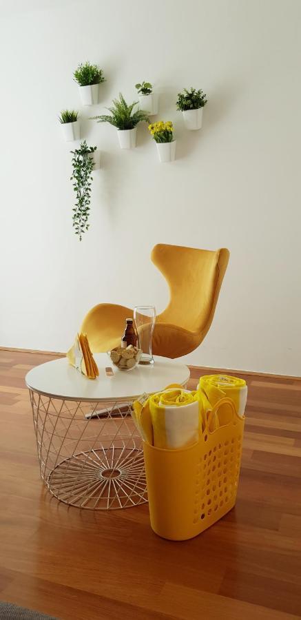 Apartment The Place Novigrad  Zewnętrze zdjęcie